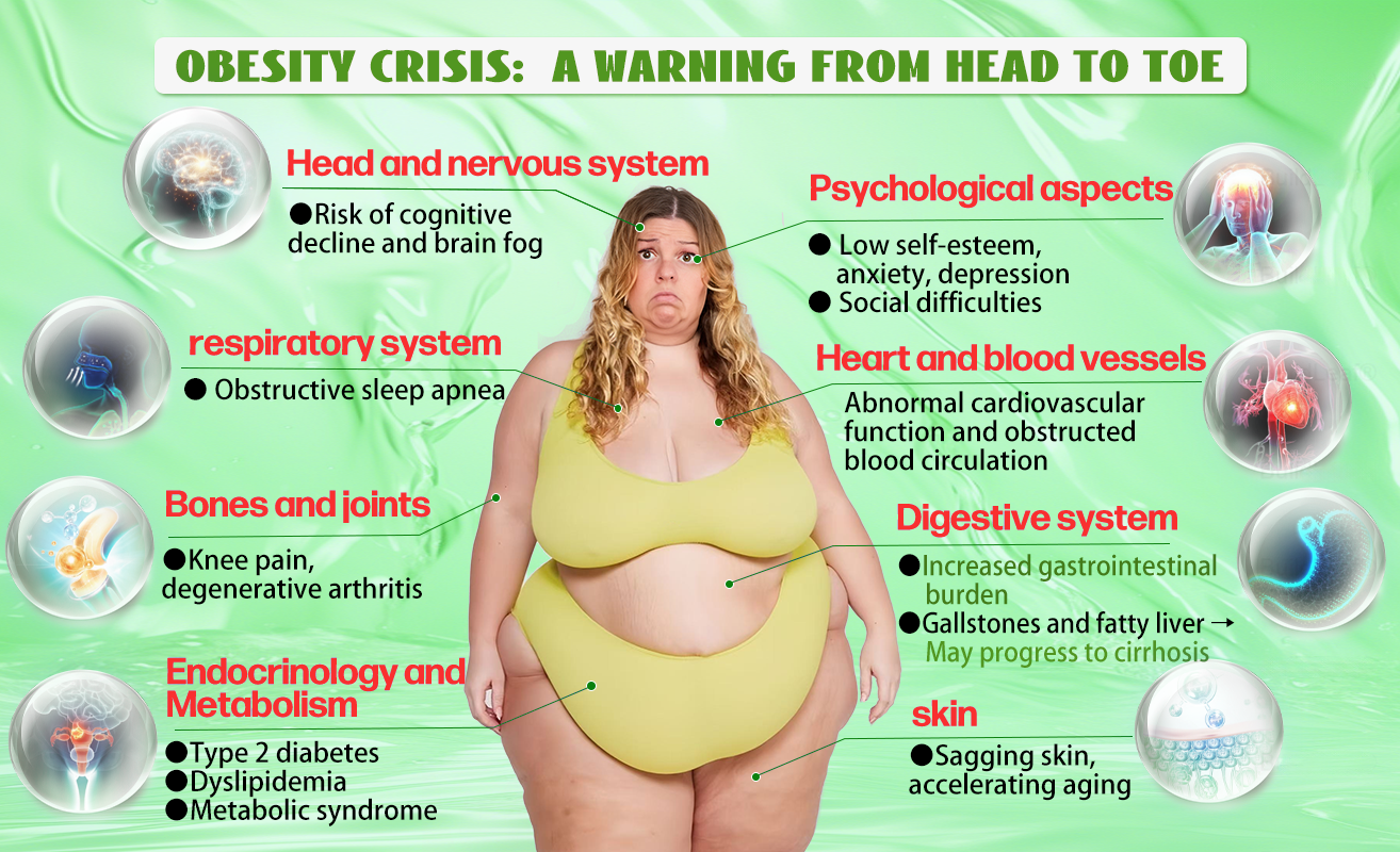 𝑶𝒇𝒇𝒊𝒄𝒊𝒂𝒍 𝑺𝒕𝒐𝒓𝒆 | 𝗛𝗛𝙑𝐵®🌈𝐺𝐿𝑃-𝟏 ALL-𝑰𝑵-𝑶𝑵𝑬 Fit&amp;Vital 𝑶𝒓𝒂𝒍 𝑳𝒊𝒒𝒖𝒊𝒅 (𝐉𝐮𝐬𝐭 𝐨𝐧𝐜𝐞 𝐚 𝐝𝐚𝐲, 𝐯𝐢𝐬𝐢𝐛𝐥𝐞 𝐜𝐡𝐚𝐧𝐠𝐞𝐬 𝐢𝐧 𝟕 𝐝𝐚𝐲𝐬）✅ 𝐅𝐨𝐫 𝐨𝐛𝐞𝐬𝐢𝐭𝐲, 𝐜𝐚𝐫𝐝𝐢𝐨𝐯𝐚𝐬𝐜𝐮𝐥𝐚𝐫 𝐡𝐞𝐚𝐥𝐭𝐡, 𝐝𝐢𝐚𝐛𝐞𝐭𝐞𝐬, 𝐬𝐥𝐞𝐞𝐩 𝐚𝐩𝐧𝐞𝐚, 𝐆𝐮𝐭 𝐇𝐞𝐚𝐥𝐭𝐡, 𝐣𝐨𝐢𝐧𝐭 𝐢𝐬𝐬𝐮𝐞𝐬, 𝐚𝐧𝐝 𝐦𝐨𝐫𝐞